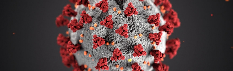 Zo kunt u het Coronavirus tegengaan op de werkvloer
